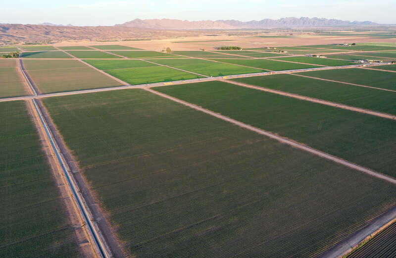美国亚利桑那州尤马附近的农田