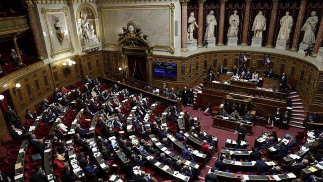 法国议会下院